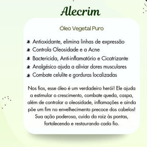 Óleo Vegetal de Alecrim - 100% Natural – Anticaspa